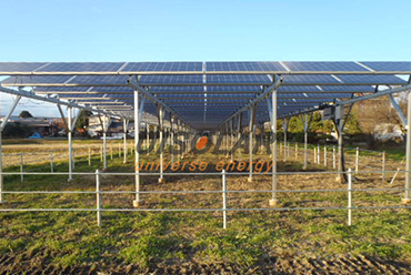 Фотоэлектрические + сельское хозяйство дополняют друг друга, используя солнечные батареи для выращивания фруктов